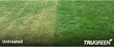 TruGreen Difference - Sample Lawn 3