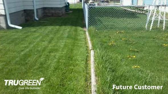 TruGreen Difference - Sample Lawn 2