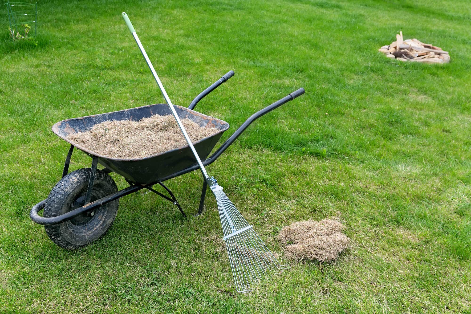 Can Dethatching Hurt Your Lawn  